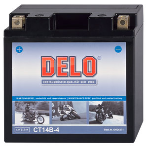 DELO Mikrovlies-Batterie bef�llt und verschlossen Delo